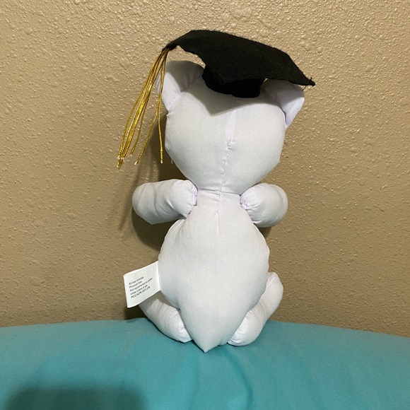 Graduation Teddy - Picture 2 of 2